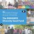  ENHANCE_Call_Diversity-Seed-Fund